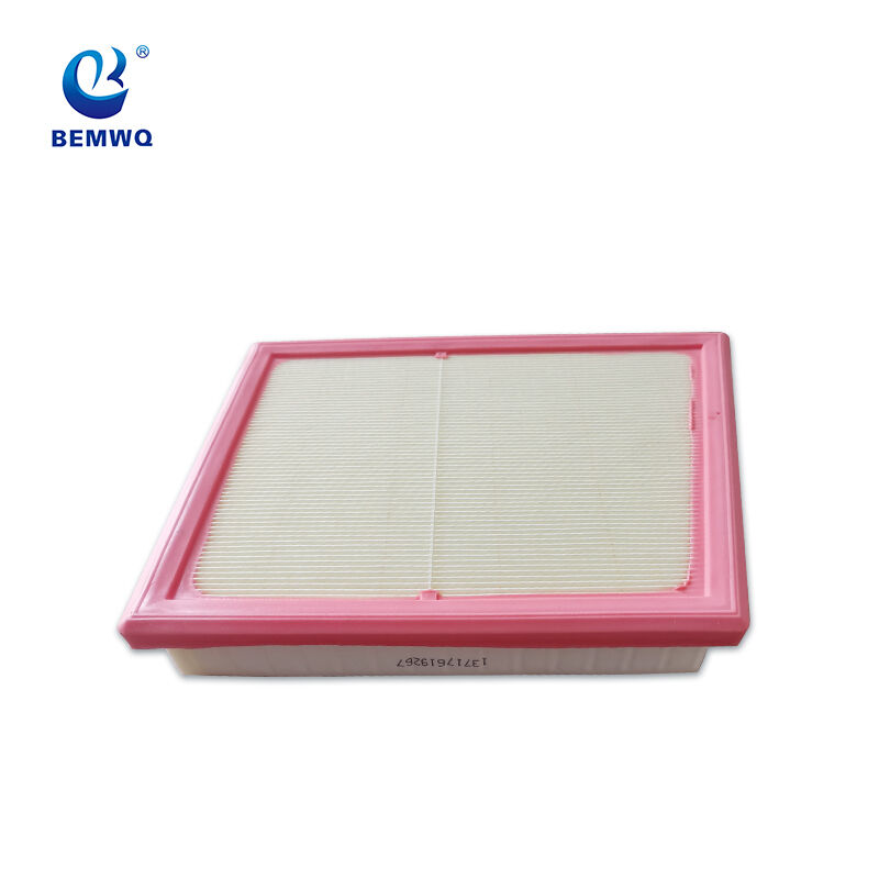 13717619267 Auto Engine Air Filter Replacement For BMW F45 F48 F49